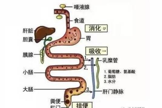 微信图片_20201015092116.jpg