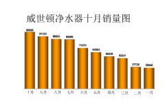 威世顿让净水器加盟商销量更好