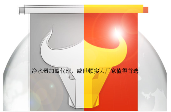 净水器加盟应该选实力厂家